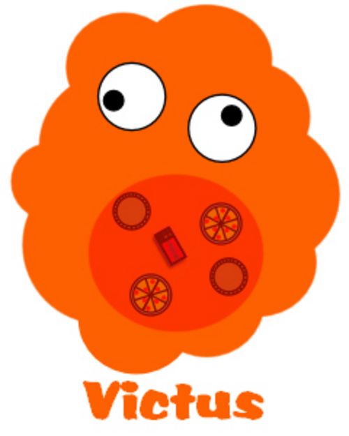 Product picture Victus